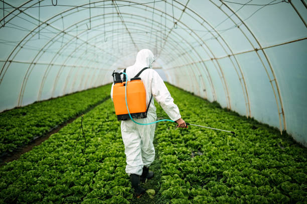 Best Affordable Pest Control Services  in Sayre, OK