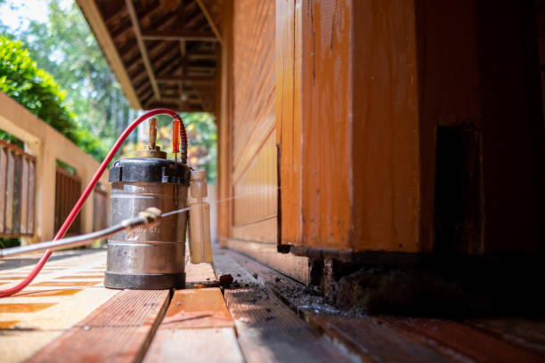Best Mosquito Control Services  in Sayre, OK