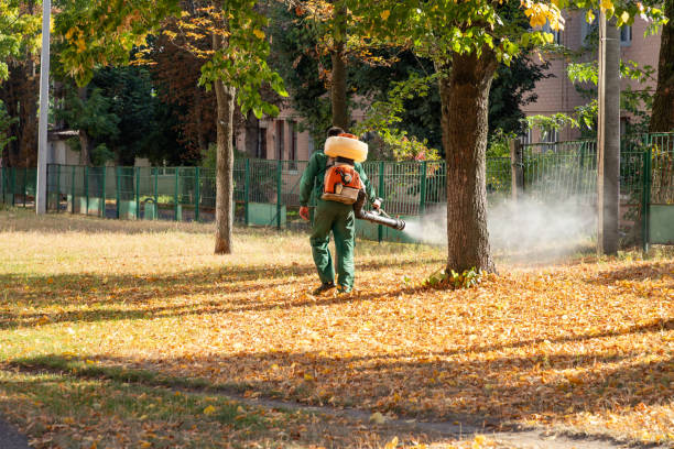 Best Exterminator Services  in Sayre, OK
