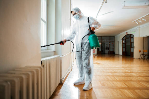 Best Flea Control Services  in Sayre, OK