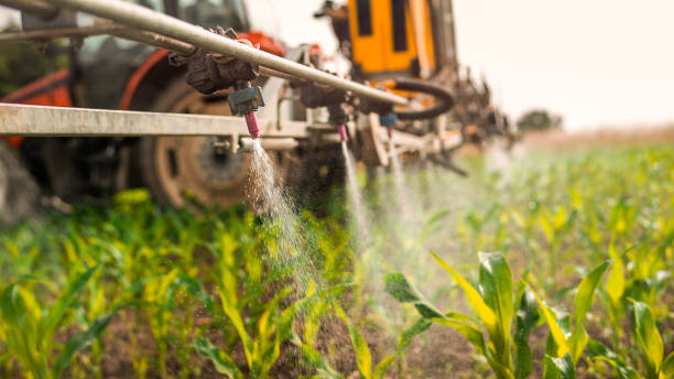 Best Best Pest Control Companies  in Sayre, OK
